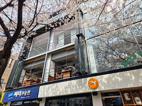 벱코이 매장 외관